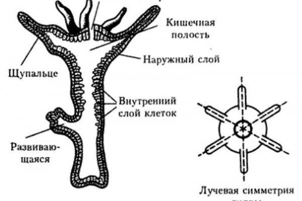 2krn cc что это